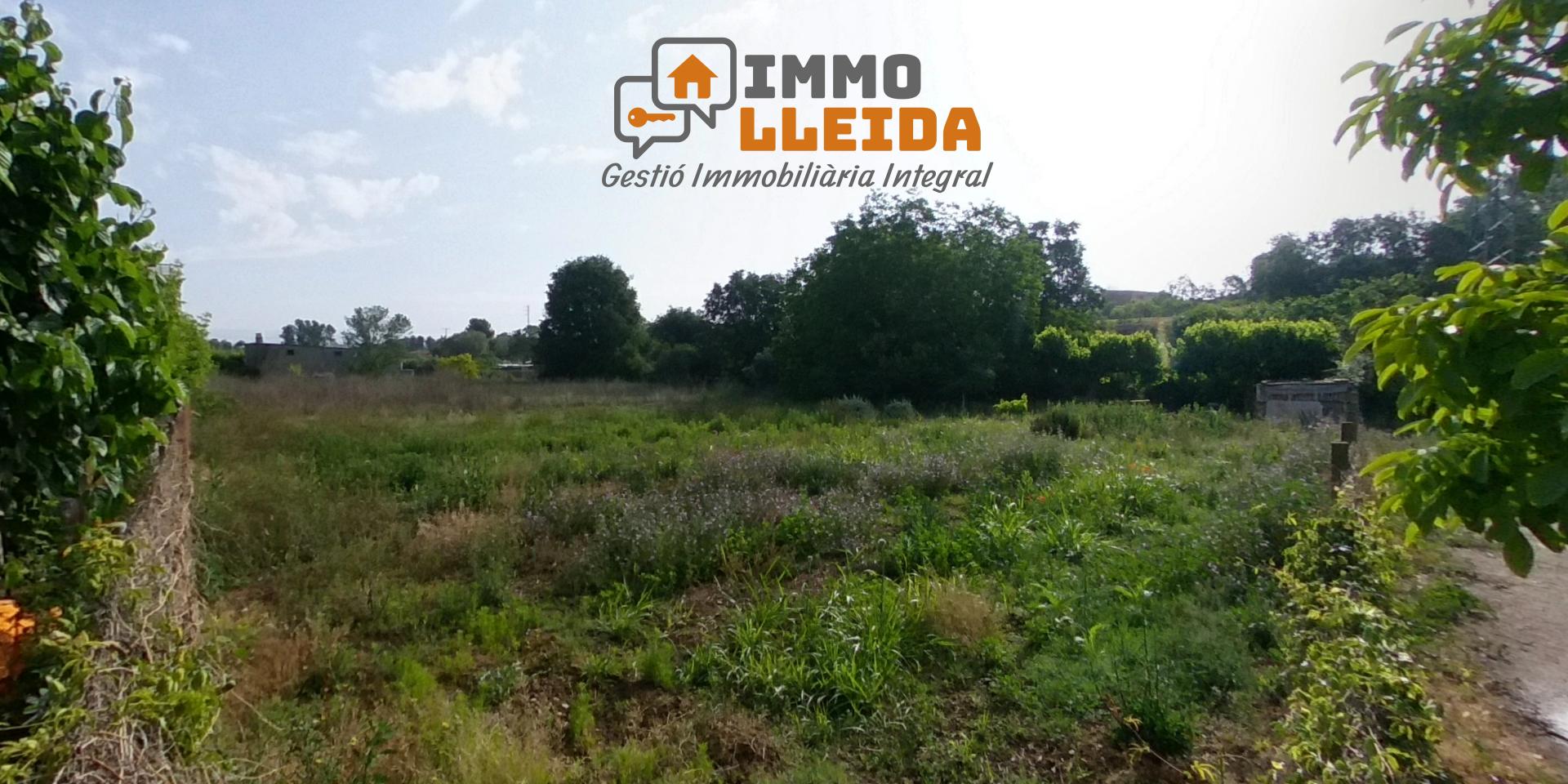 20895318 Imagen destacada 3