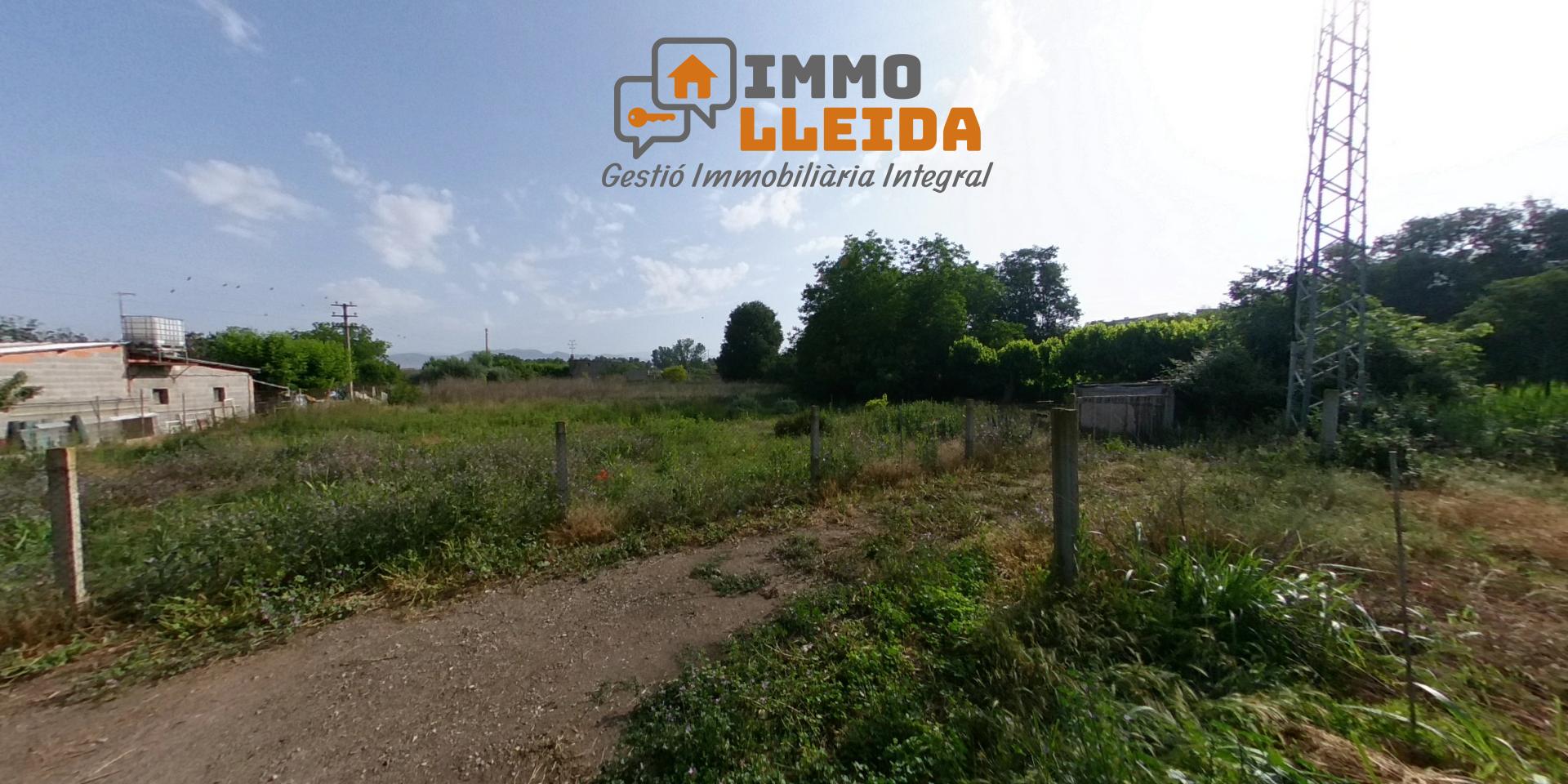 20895331 Imagen destacada 2