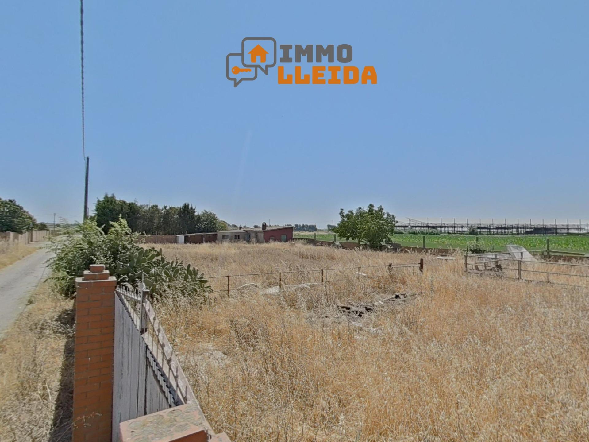 Imagen destacada 4